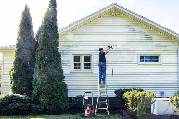 Best Local Pressure Washing Services  in Nellis Af, NV